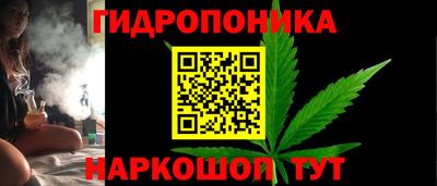 ешки Лесосибирск