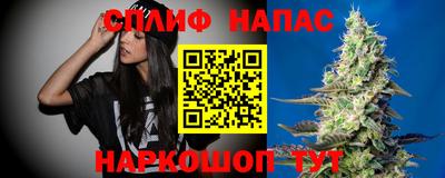 спиды Ливны
