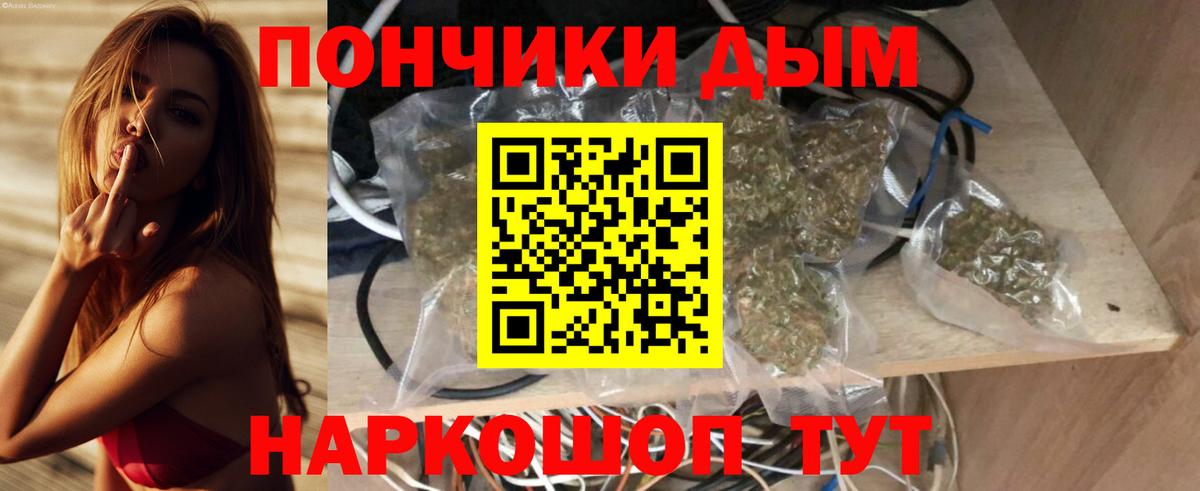 Канабис планчик  Вход с VPN  Елизово  Шишки марихуана индика 